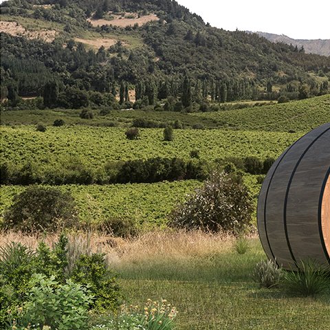 Wine Barrel Cabins - Render